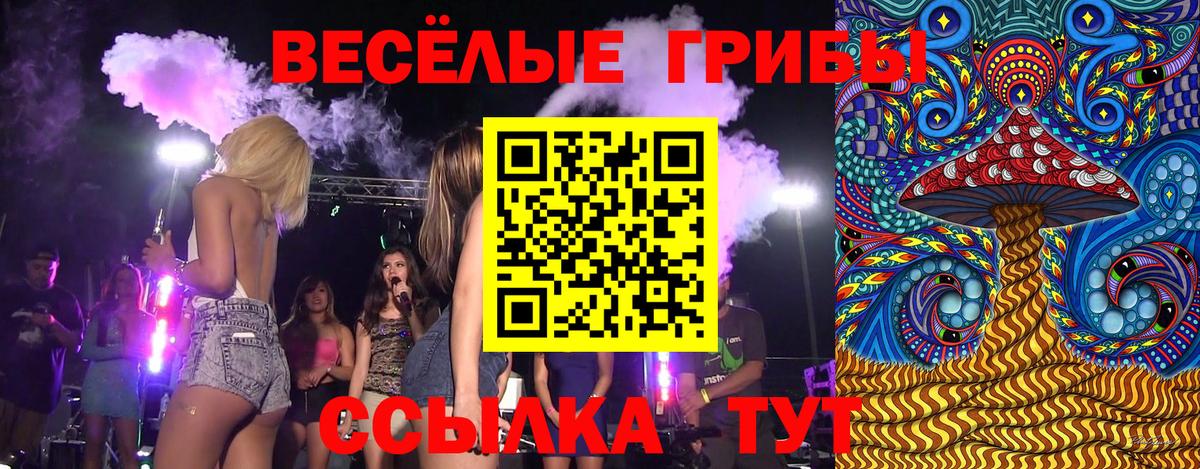 Псилоцибиновые грибы прущие грибы  Вход с VPN  Среднеуральск 